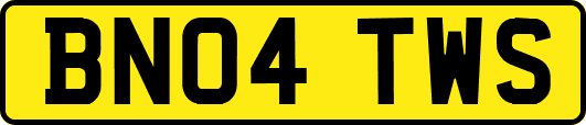 BN04TWS