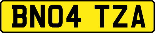 BN04TZA