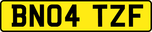 BN04TZF