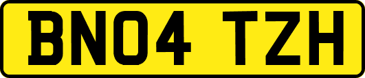 BN04TZH