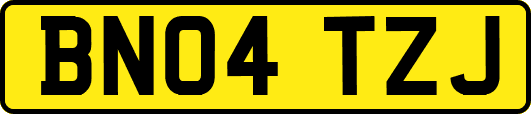 BN04TZJ