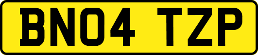 BN04TZP