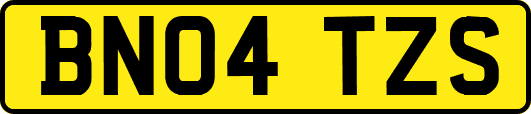 BN04TZS