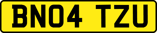 BN04TZU