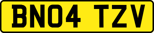 BN04TZV