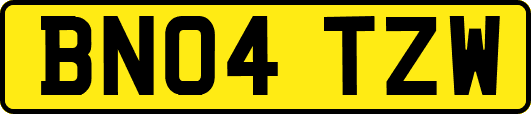 BN04TZW