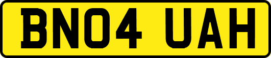 BN04UAH