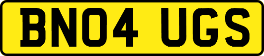 BN04UGS