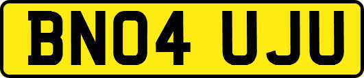 BN04UJU