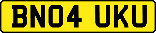 BN04UKU