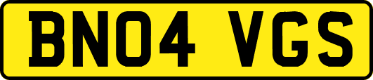 BN04VGS