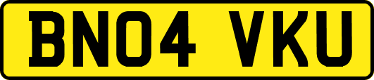 BN04VKU