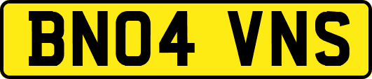BN04VNS