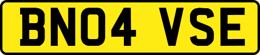 BN04VSE