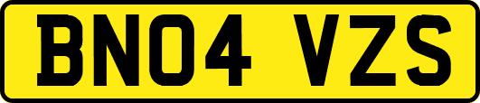 BN04VZS