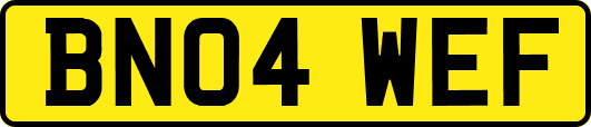 BN04WEF