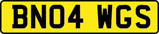 BN04WGS