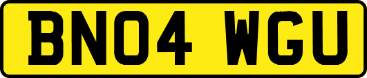 BN04WGU