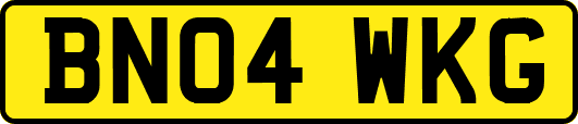 BN04WKG