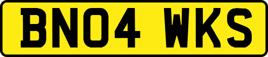 BN04WKS