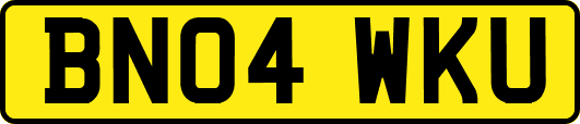 BN04WKU