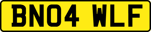 BN04WLF