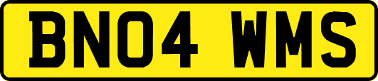 BN04WMS
