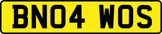 BN04WOS