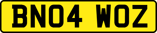 BN04WOZ