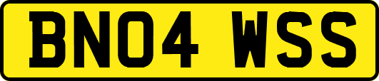 BN04WSS