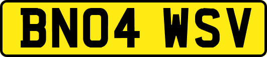 BN04WSV