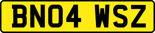 BN04WSZ