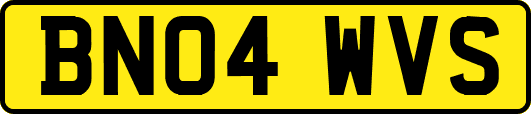 BN04WVS