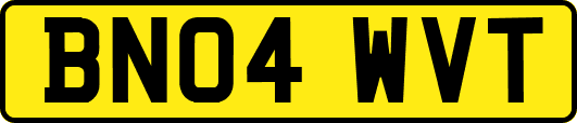 BN04WVT