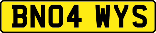 BN04WYS
