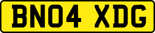 BN04XDG