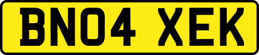 BN04XEK