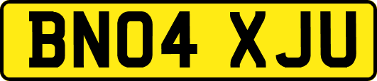 BN04XJU
