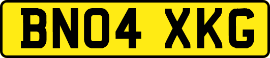 BN04XKG