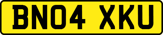 BN04XKU