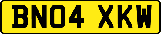 BN04XKW