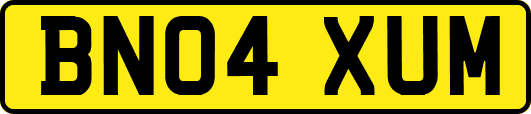 BN04XUM