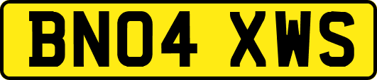 BN04XWS