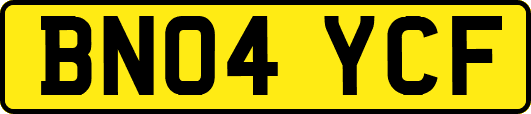 BN04YCF