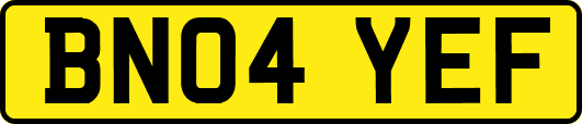 BN04YEF