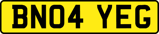 BN04YEG