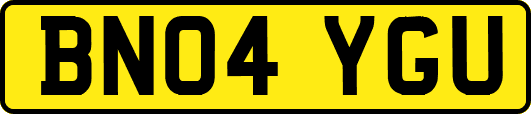 BN04YGU