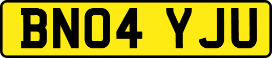 BN04YJU