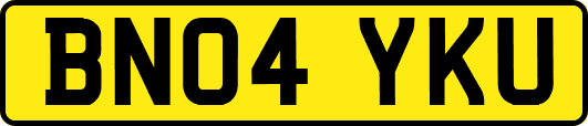 BN04YKU
