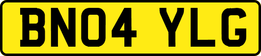 BN04YLG